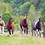 Male Utulne S Koupelnou A Kuchynkou * Svinarov