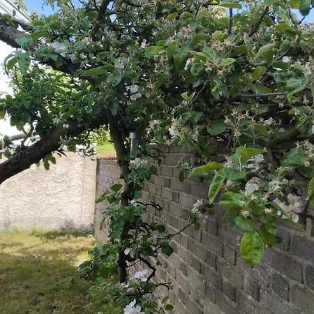 Апартаменты Male Utulne S Koupelnou A Kuchynkou Svinarov