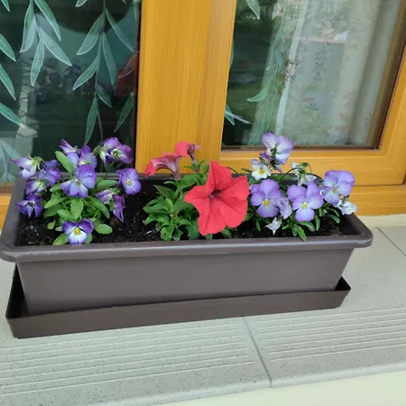 Male Utulne S Koupelnou A Kuchynkou Apartament Svinarov