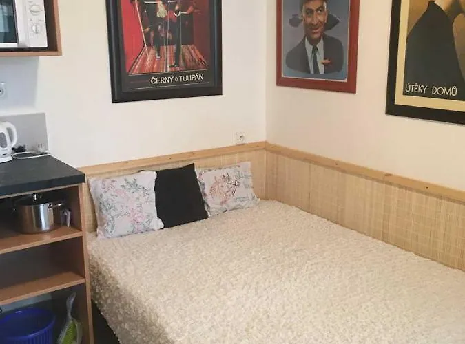 Male Utulne S Koupelnou A Kuchynkou *