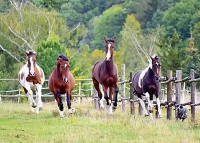Male Utulne S Koupelnou A Kuchynkou * Svinarov