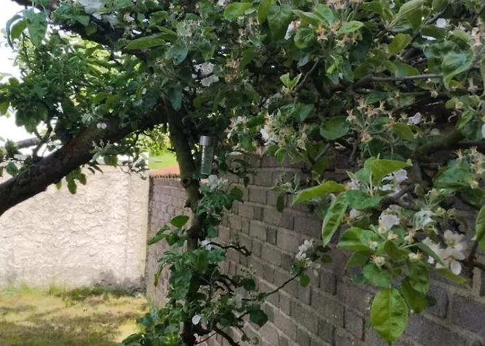 Apartament Male Utulne S Koupelnou A Kuchynkou Svinarov