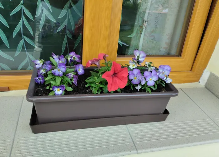 Male Utulne S Koupelnou A Kuchynkou Appartement Svinarov