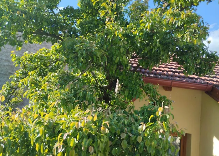 Male Utulne S Koupelnou A Kuchynkou Appartement *